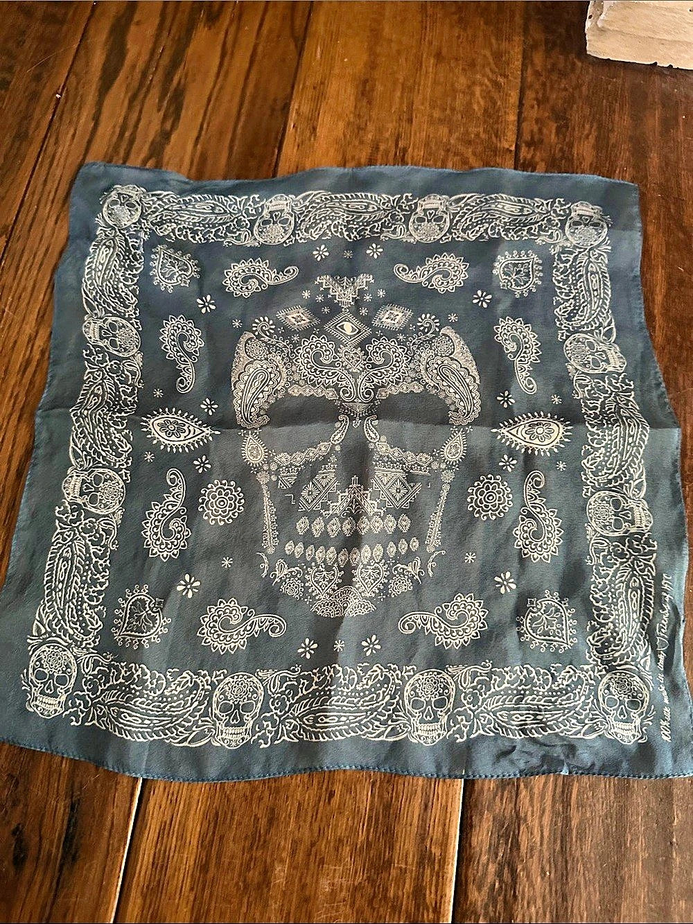 Small Hollywood Trading Company Skull Paisley Silk Bandana Scarf